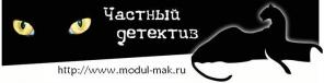 Частный детектив