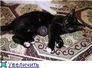 Его Величество Маркиз!