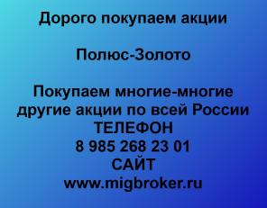 Покупаем акции Полюс Золото