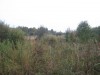 Участок Пятницкое шоссе 40 км