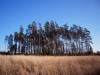 село Осташево Волоколамский район