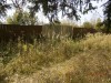 деревня Писарево Рузский район