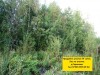 Продаю участки 25-35 км от МКАД по киевскому шоссе