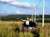 Весення акция. Участки в Кстовском районе по 230 000 руб каждый