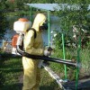 Обработка дачного (садового) участка от клещей