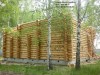 Срубы из Мордовии от производителя