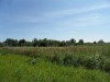 Продаю участок в селе Никульское Коломенского района