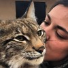 .Продажа красивых котят,с родословной.