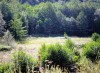 Участок в с. Ольгинка Туапсинского р-на