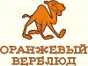 Детская одежда Оранжевый Верблюд. Интернет магазин