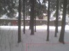 Земельный участок 10 сот. 25км по Горьковскому ш.