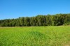 Продаю земельный участок 6 соток рядом с д.Толмачево