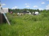 СРОЧНО продам участок!!! Подольский р-н, СНТ "Киселево"