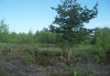 Продам участок во Всеволожском районе